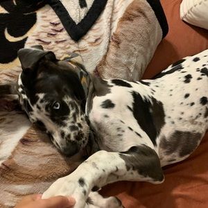 Meet your Posher, Aaron